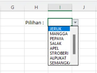 Sel Pilihan menampilkan dropdown berisi JERUK, MANGGA, PEPAYA, SALAK, dan seterusnya