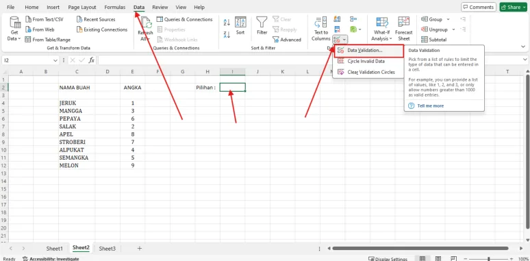 Tombol Data Validation pada tab Data