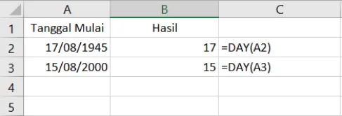Contoh penggunaan fungsi DAY di Excel beserta hasilnya