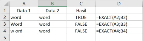 Contoh penggunaan fungsi EXACT di Excel beserta hasilnya
