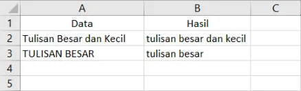 Contoh penggunaan fungsi LOWER di Excel beserta hasilnya