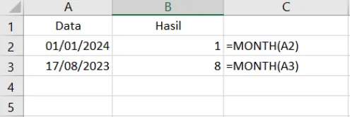 Contoh penggunaan fungsi MONTH di Excel beserta hasilnya