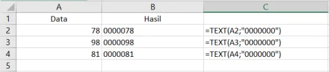 Contoh penggunaan fungsi TEXT di Excel beserta hasilnya