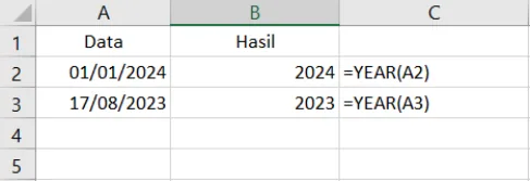 Contoh penggunaan fungsi YEAR di Excel beserta hasilnya
