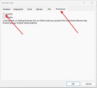 Tab Protection pada Format Cells dengan kotak centang Locked