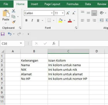 Data keterangan (Nama, NIK, Alamat, No HP) dan kolom isian sebelum diberi titik dua